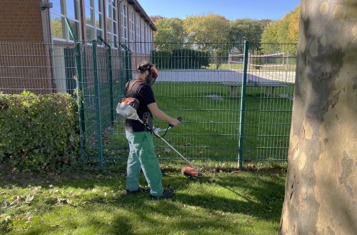 Gärtner mit Freischneider trimmt Gras entlang eines Zauns auf einem sonnigen Rasen.