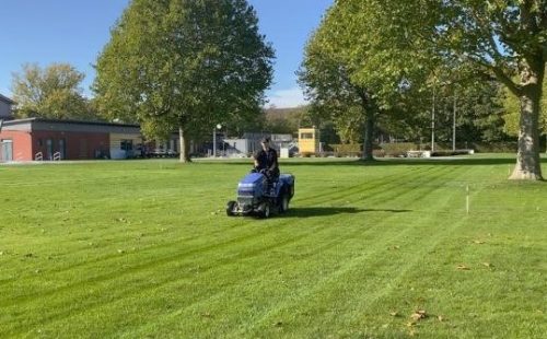 Person mäht auf einem Rasentraktor einen weitläufigen, grünen Rasen in einem öffentlichen Park